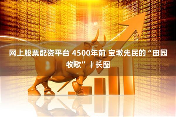 网上股票配资平台 4500年前 宝墩先民的“田园牧歌”｜长图