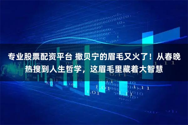 专业股票配资平台 撒贝宁的眉毛又火了!从春晚热搜到人生哲学,这眉毛里藏着大智慧